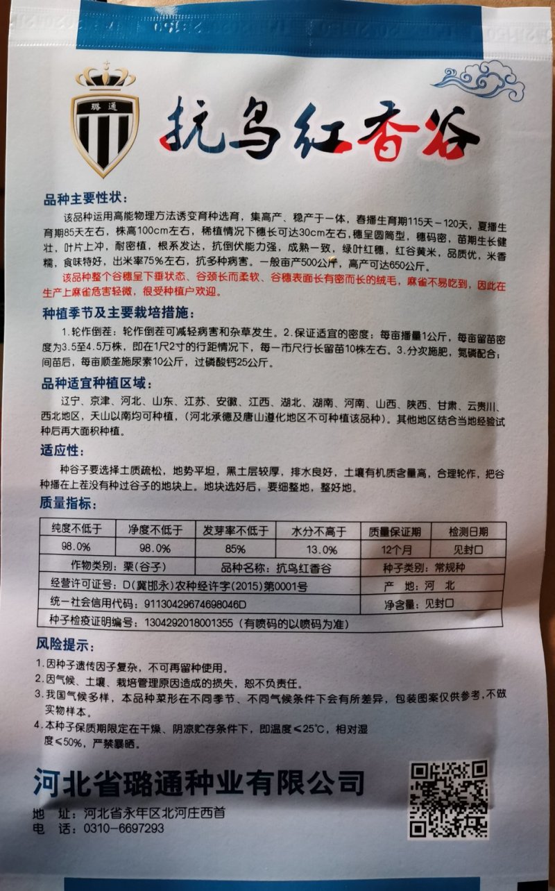 抗鸟红香谷产量高抗病抗倒伏红谷黄米米香糯口小米种子