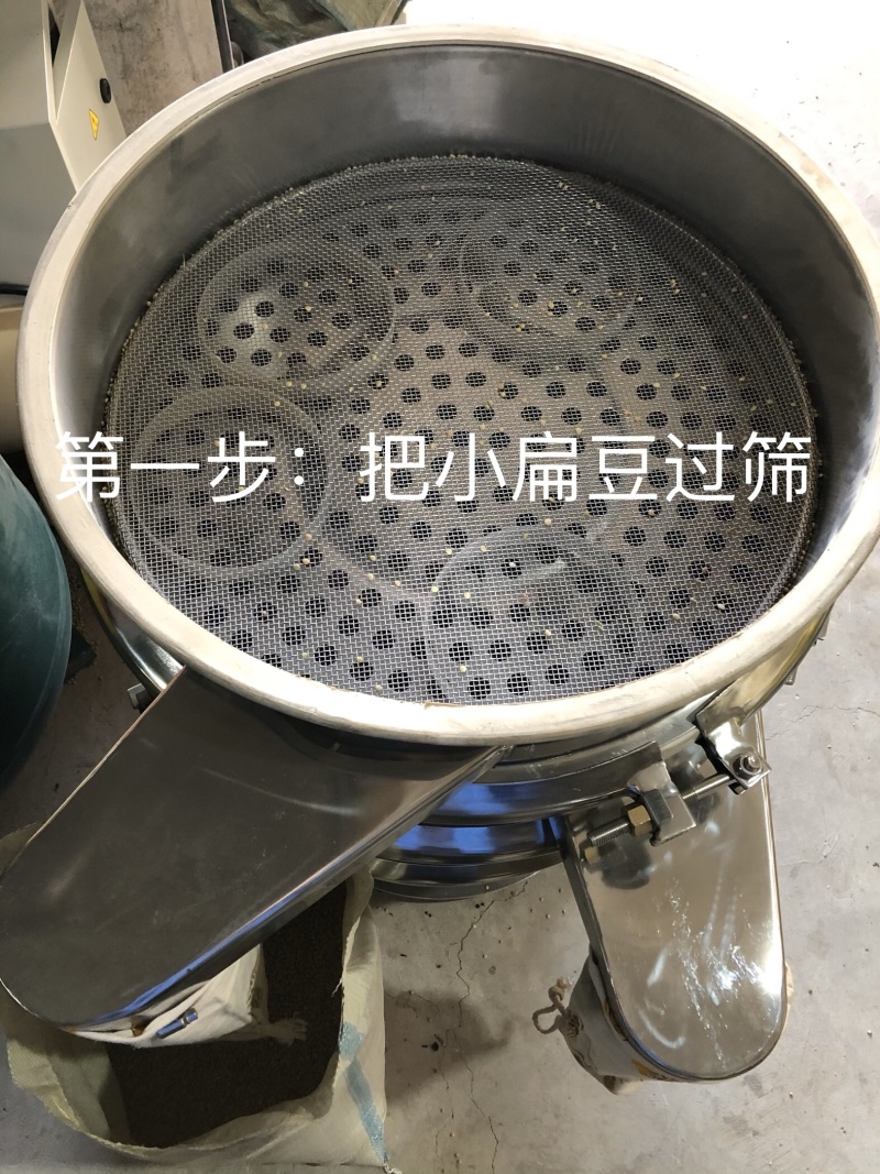 【有好货】甘肃小扁豆生扁豆芽芽苗菜批量批发