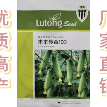 进口种子高产优质水果黄瓜一叶一瓜净含量10克约350粒