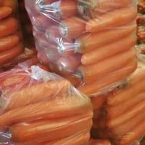 精品三红胡萝卜大量上市
