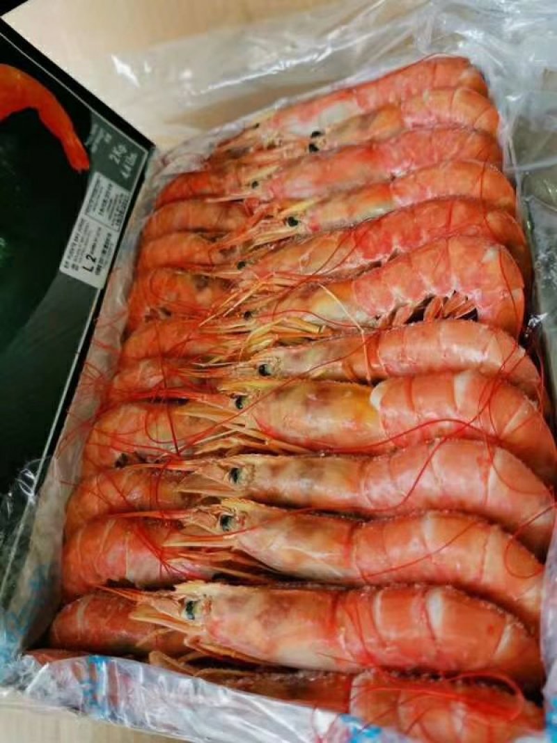 阿根廷红虾