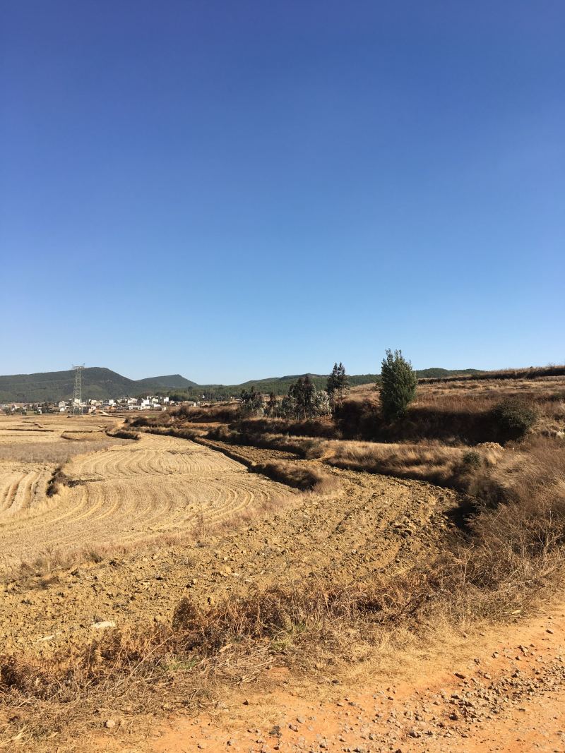 70亩水田出租，适合建大棚种蔬菜