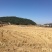 70亩水田出租，适合建大棚种蔬菜