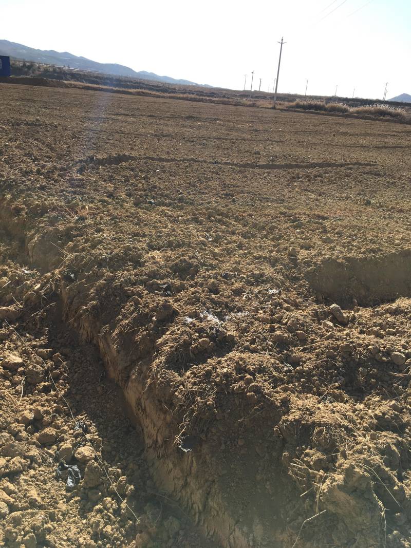 70亩水田出租，适合建大棚种蔬菜