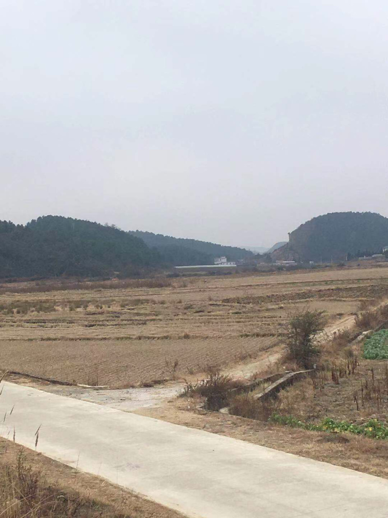 63亩大棚地转让，看上联系