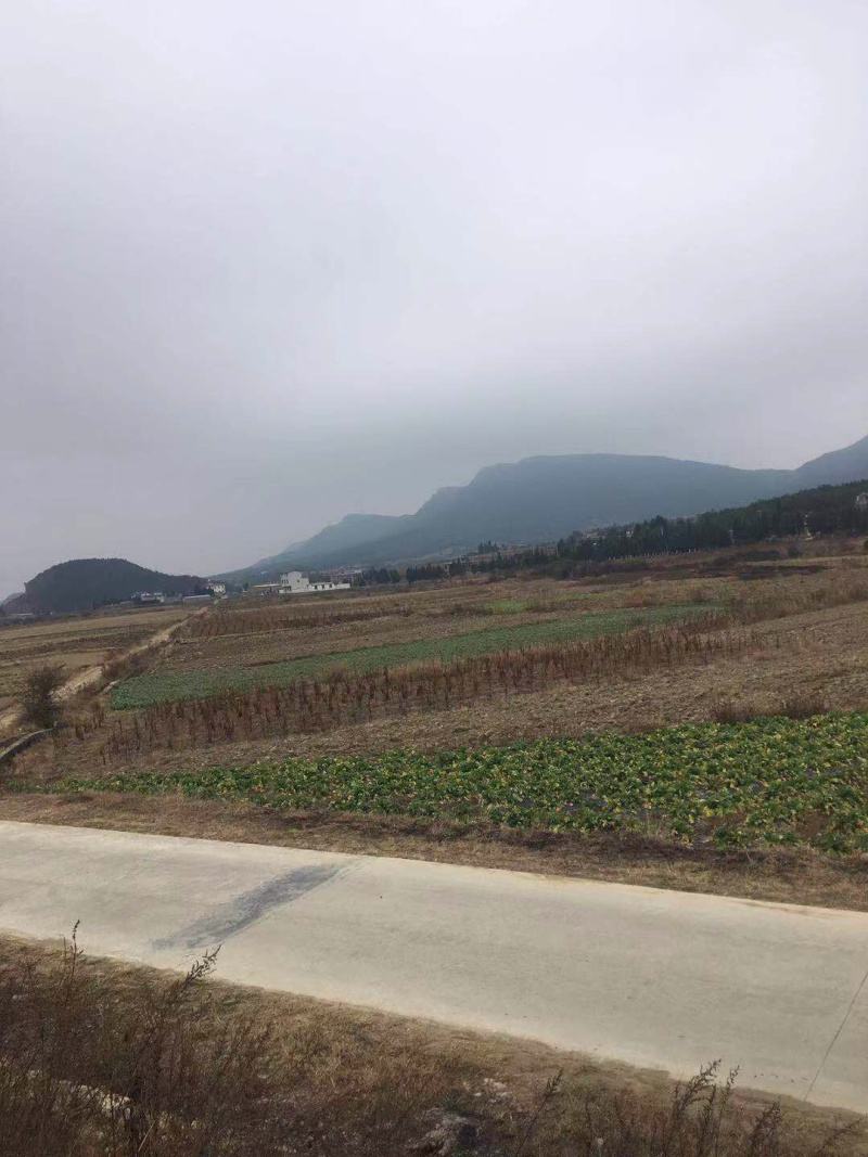 63亩大棚地转让，看上联系