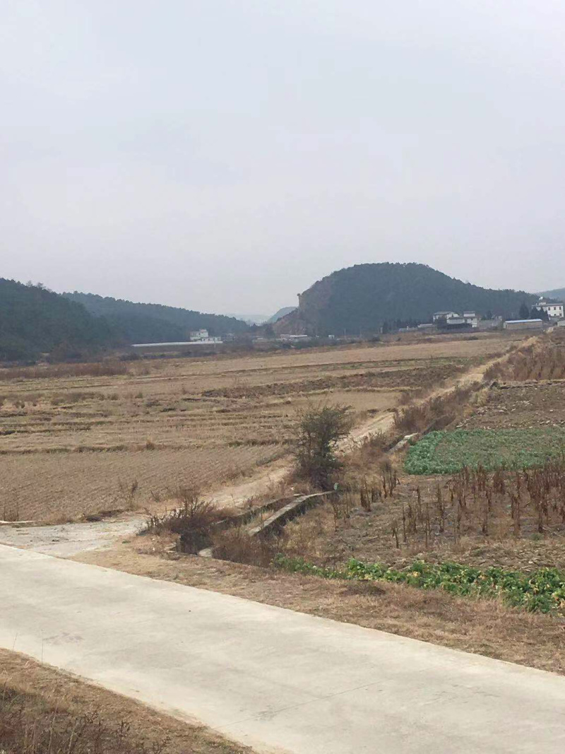 63亩大棚地转让，看上联系