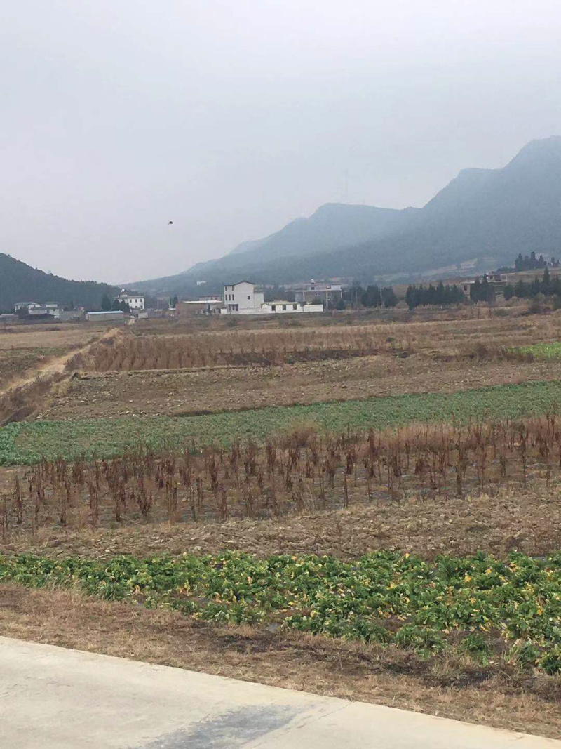 63亩大棚地转让，看上联系