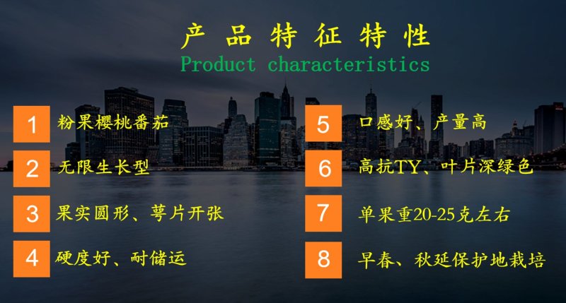 乾德闺蜜圆形粉果樱桃番茄西红柿种子产量高抗病性好
