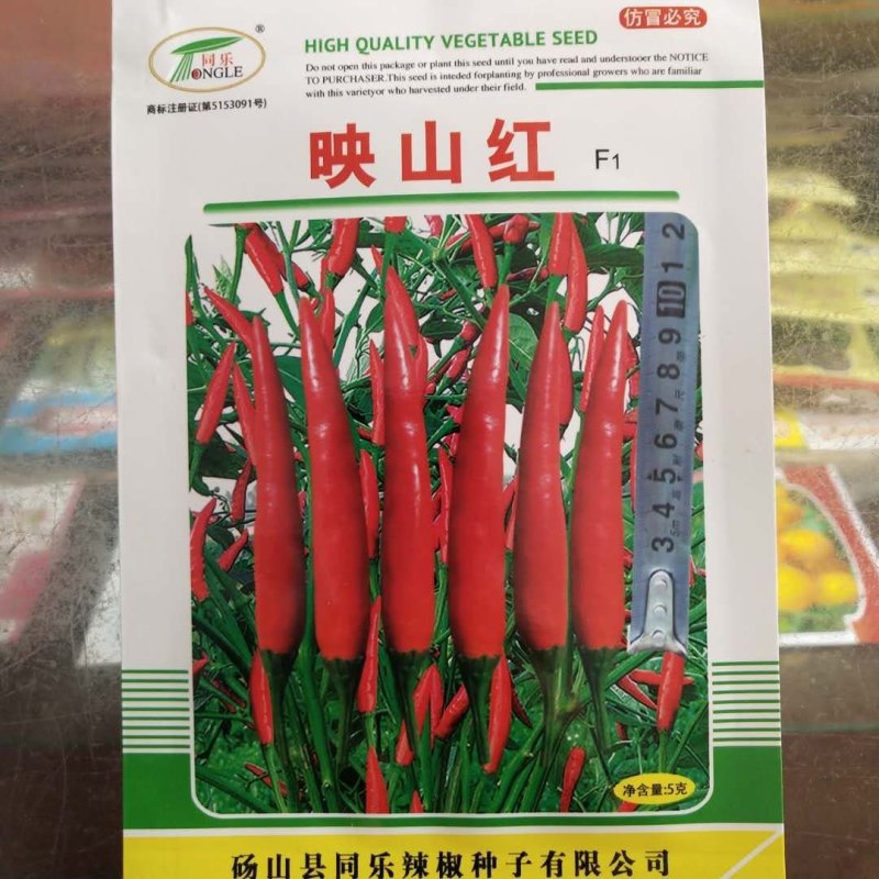 朝天椒种子，天琦Fi品种，朝天王子种子一代杂交品种