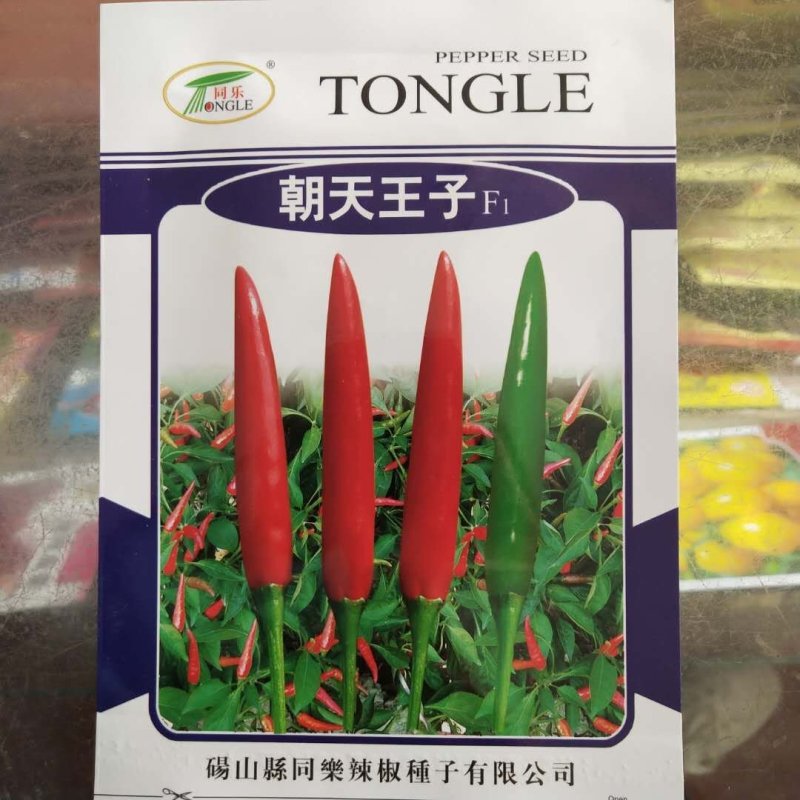 朝天椒种子，天琦Fi品种，朝天王子种子一代杂交品种