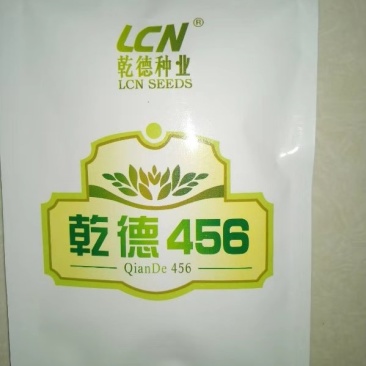 乾德456黄瓜种子强雌油亮型黄瓜耐低温弱光能力强