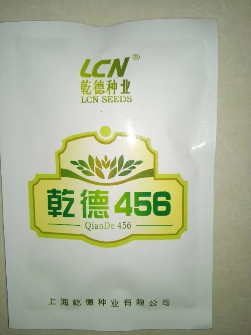 乾德456黄瓜种子强雌油亮型黄瓜耐低温弱光能力强