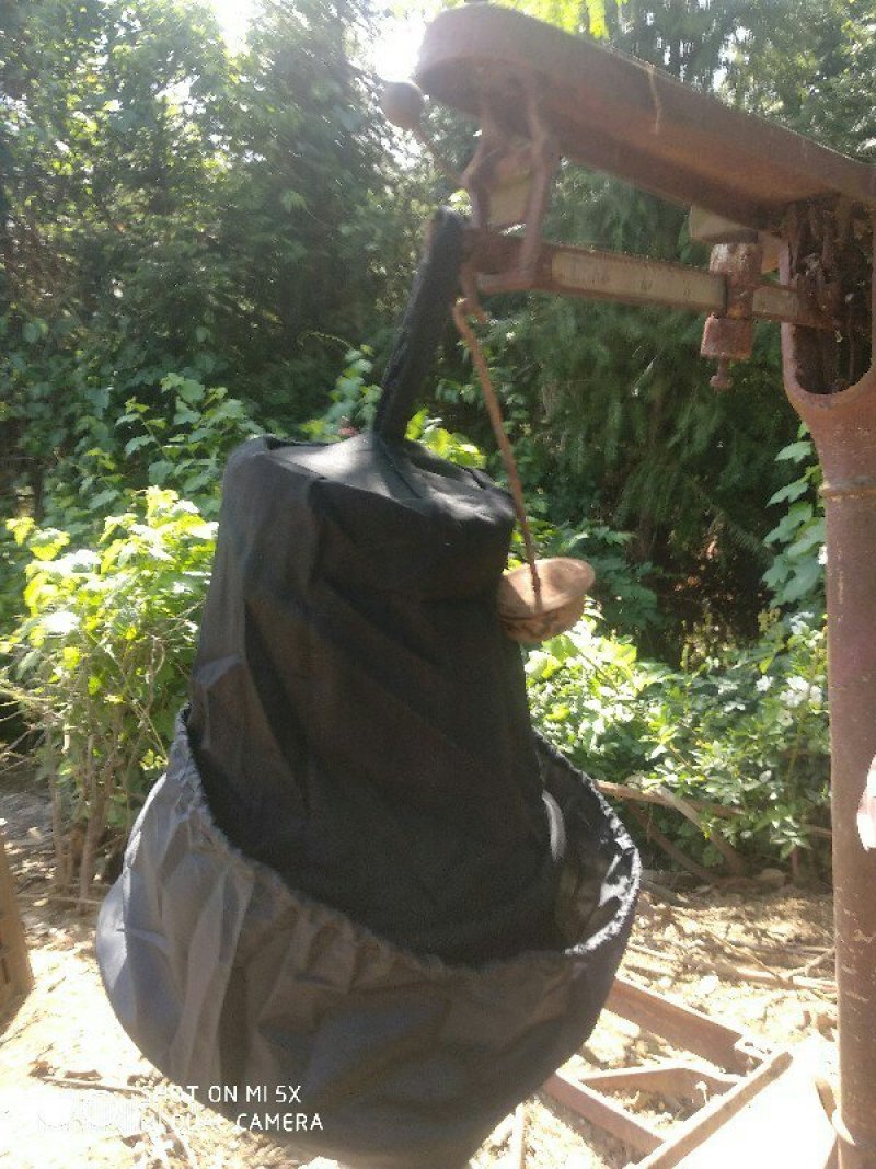 野蜂收蜂袋包邮收野蜂的工具野外招蜂笼诱蜂笼带布套的