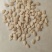 乾德帅冬冬瓜种子绿皮,高产,早熟,口感冬瓜,春秋栽培