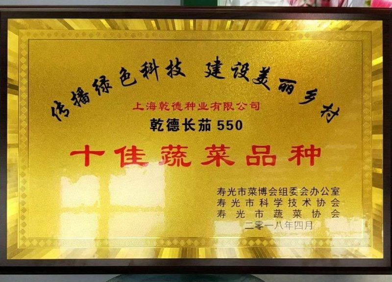 乾德茄550长茄早熟，高产，硬度高，寿光十佳蔬菜品种