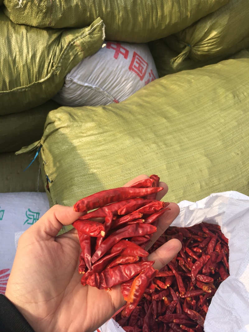 【推荐】精品干辣椒产地直发，全国包邮，免费加工辣椒段