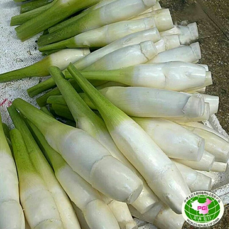 百度岳西茭白双季茭白结茭老根纯度高茭白肉有光泽