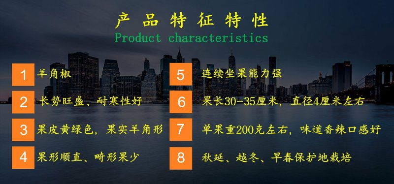 乾德大有尖椒羊角椒种子高产畸形果少商品率高