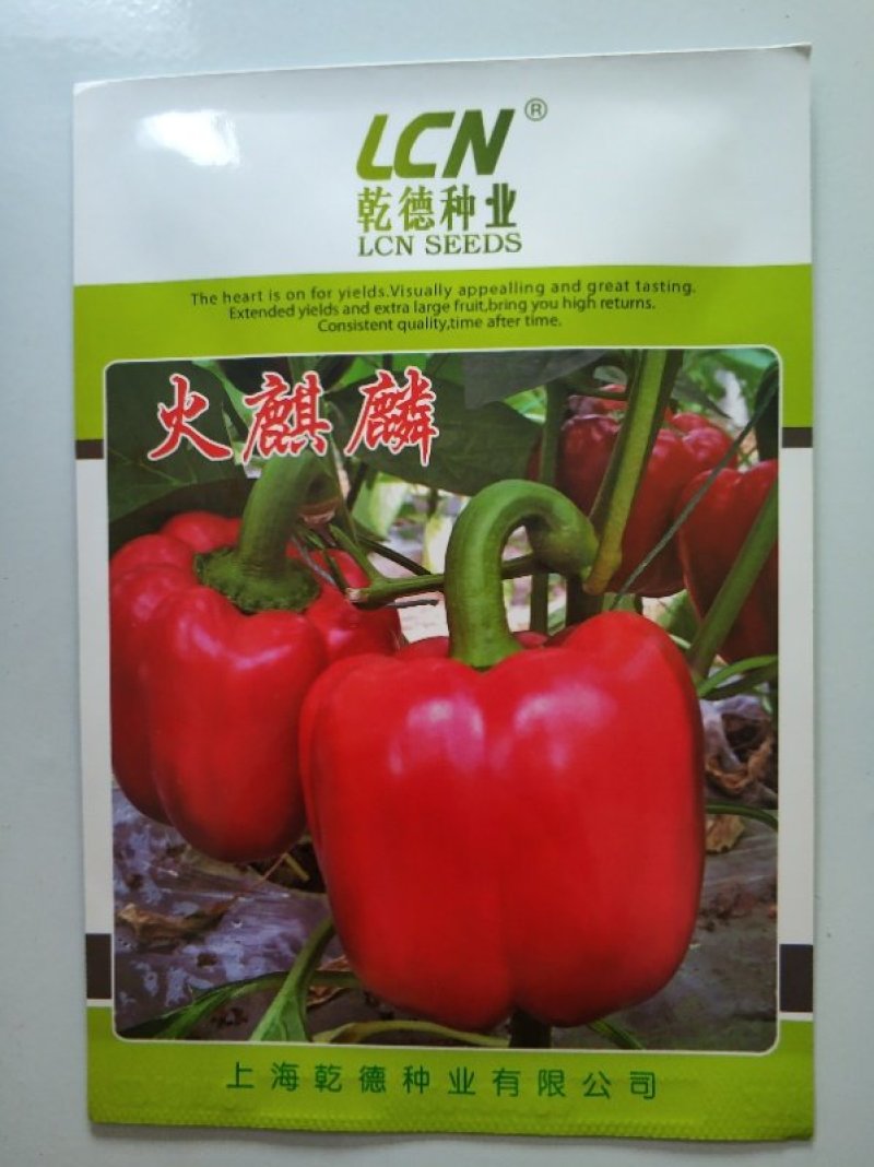 乾德火麒麟彩椒甜椒方椒辣椒种子商品性好耐运输耐储存