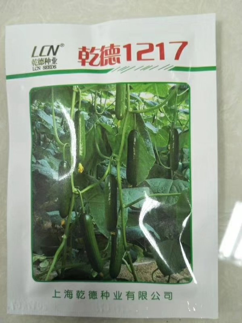 乾德1217黄瓜种子无刺高产口感好，膨瓜快瓜码密，秋延早春