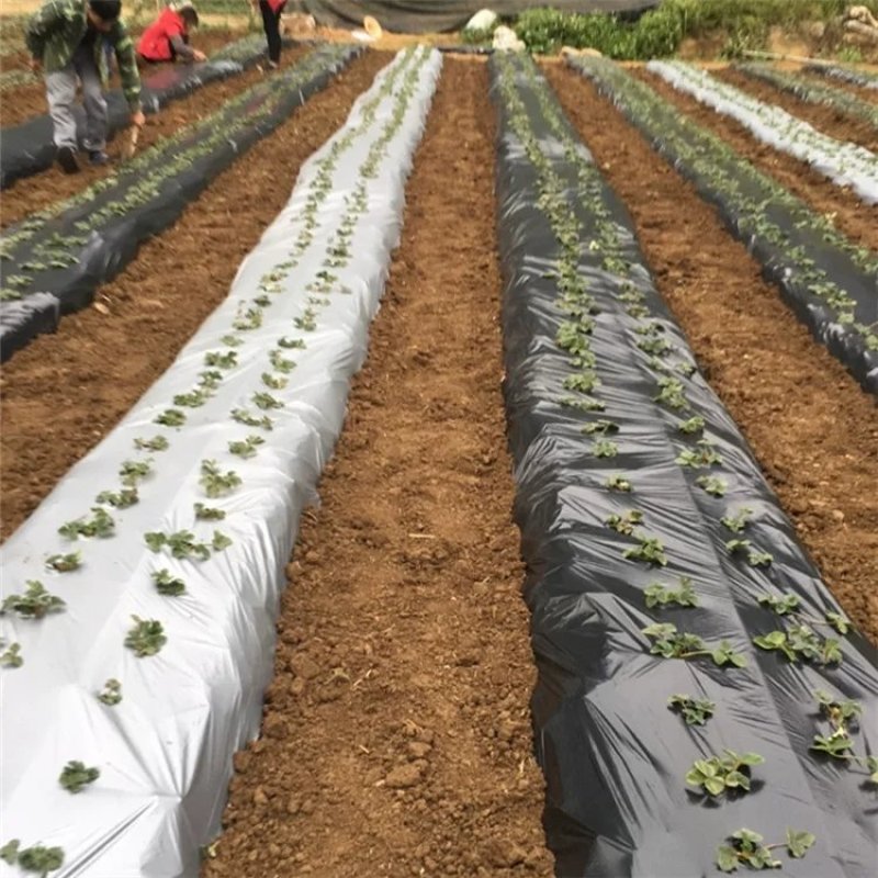 果园果树双色银黑地膜反光除草防虫保湿农用薄膜葡萄银灰净重