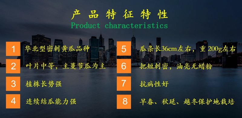 乾德二号黄瓜黄瓜种子，春秋茬，农业部登记品种，有品种权