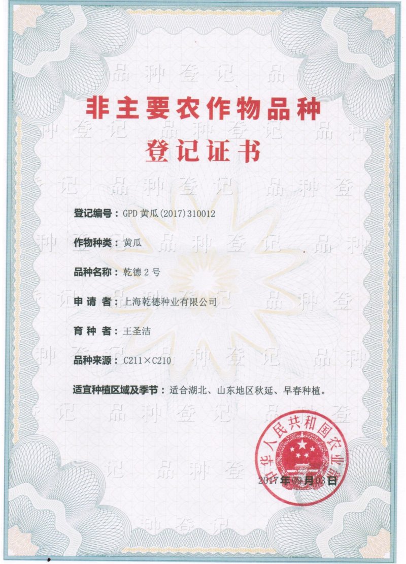 乾德二号黄瓜黄瓜种子，春秋茬，农业部登记品种，有品种权