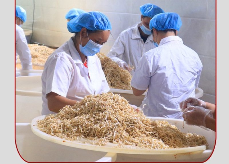 [木瓜丝正规厂家]香辣木瓜丝酱香木瓜横县特产特色食材