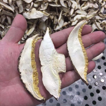 产地供应干香菇片菇丝菇条长4-8cm10公斤每箱