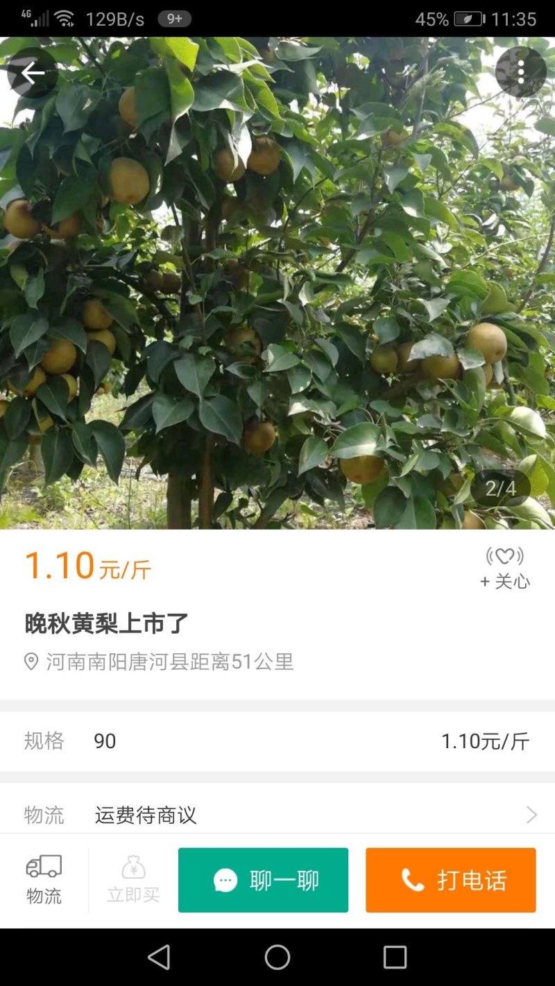 梨