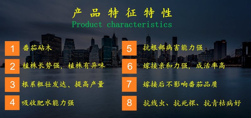 乾德番砧长势强，根系粗壮发达，根部抗病害强，农业部登记
