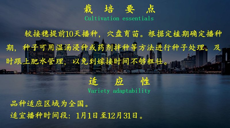 乾德番砧长势强，根系粗壮发达，根部抗病害强，农业部登记