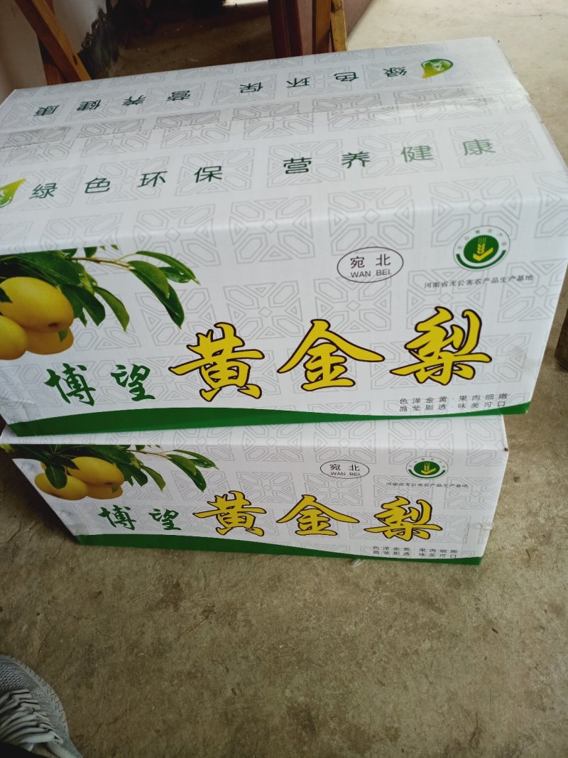黄金梨