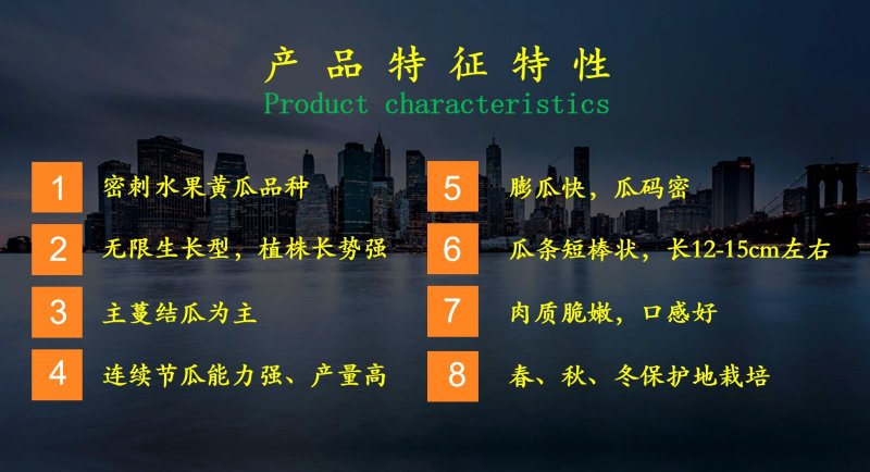 1277密刺水果黄瓜种子，口感好，连续结瓜，春、秋、冬栽培
