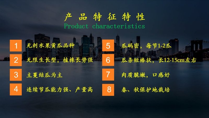 乾德880无刺水果黄瓜种子无限生长型连续结瓜能力强