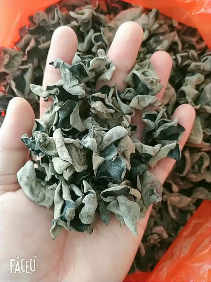 黑木耳木耳东北黑木耳品质好产地直发全国包邮！