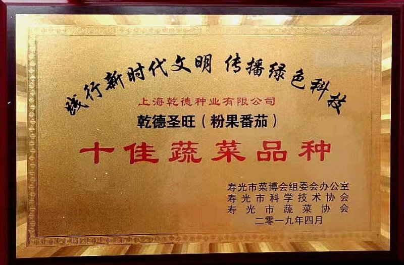 乾德圣旺西红柿种子粉色大果番茄种子转色均匀硬度高