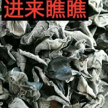 东北黑木耳木耳品质好口感好！适合电商地摊等！！