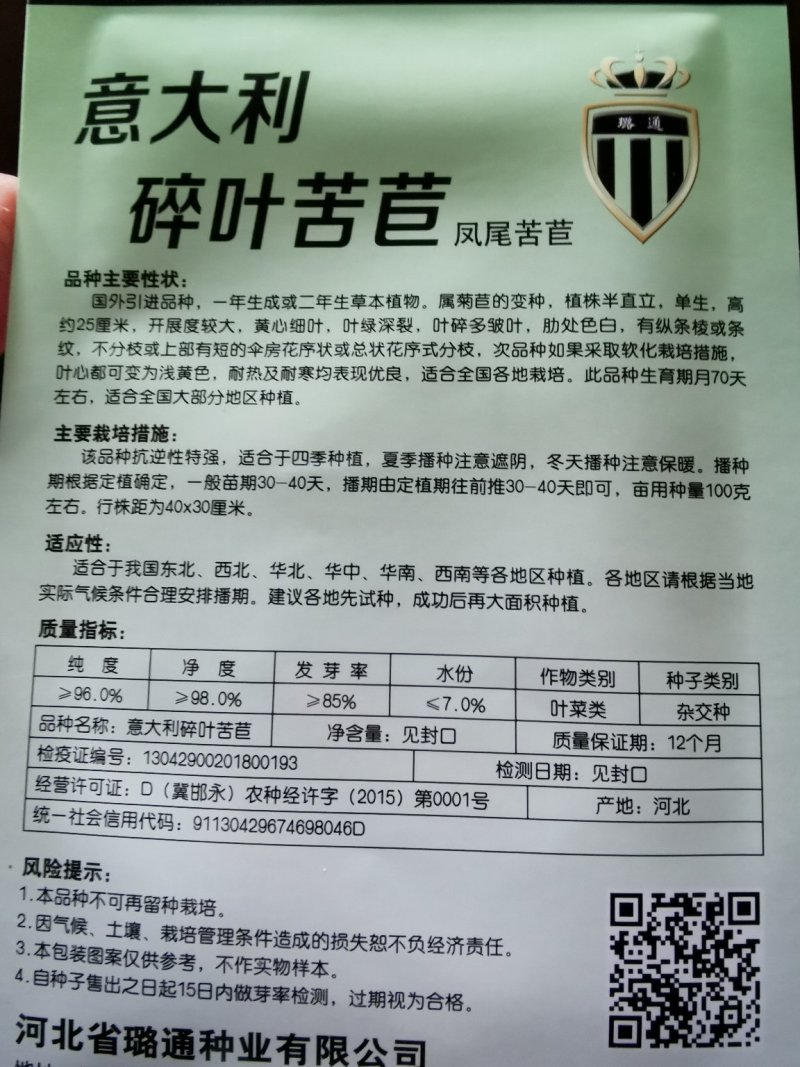 黄心苦苣种子大田菜园高产易种碎叶细叶黄心苦菊种子蔬