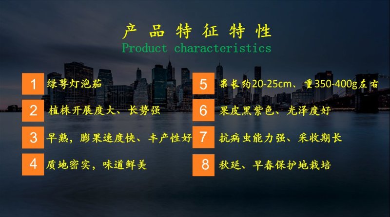 乾德茄A1绿萼灯泡茄茄子种子采收期长秋延早春栽培
