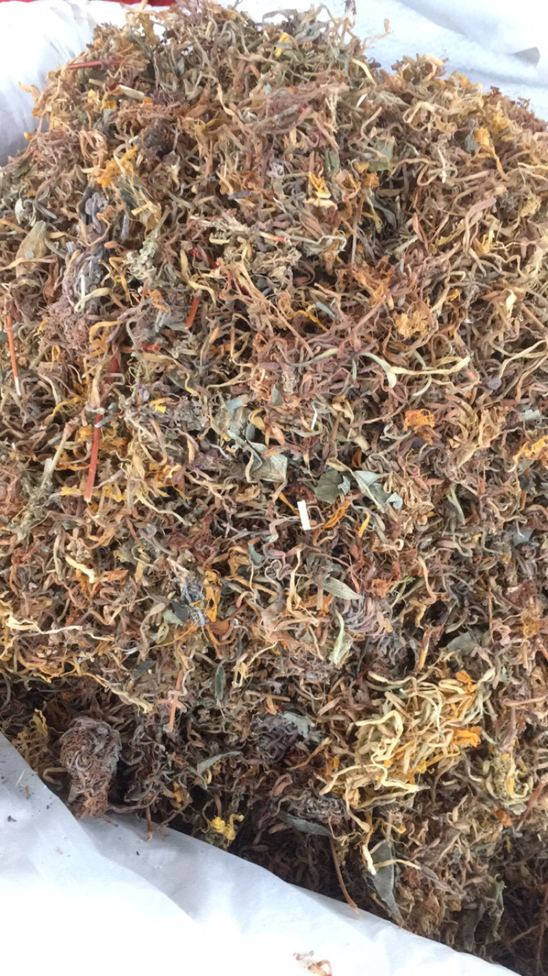 金银花，