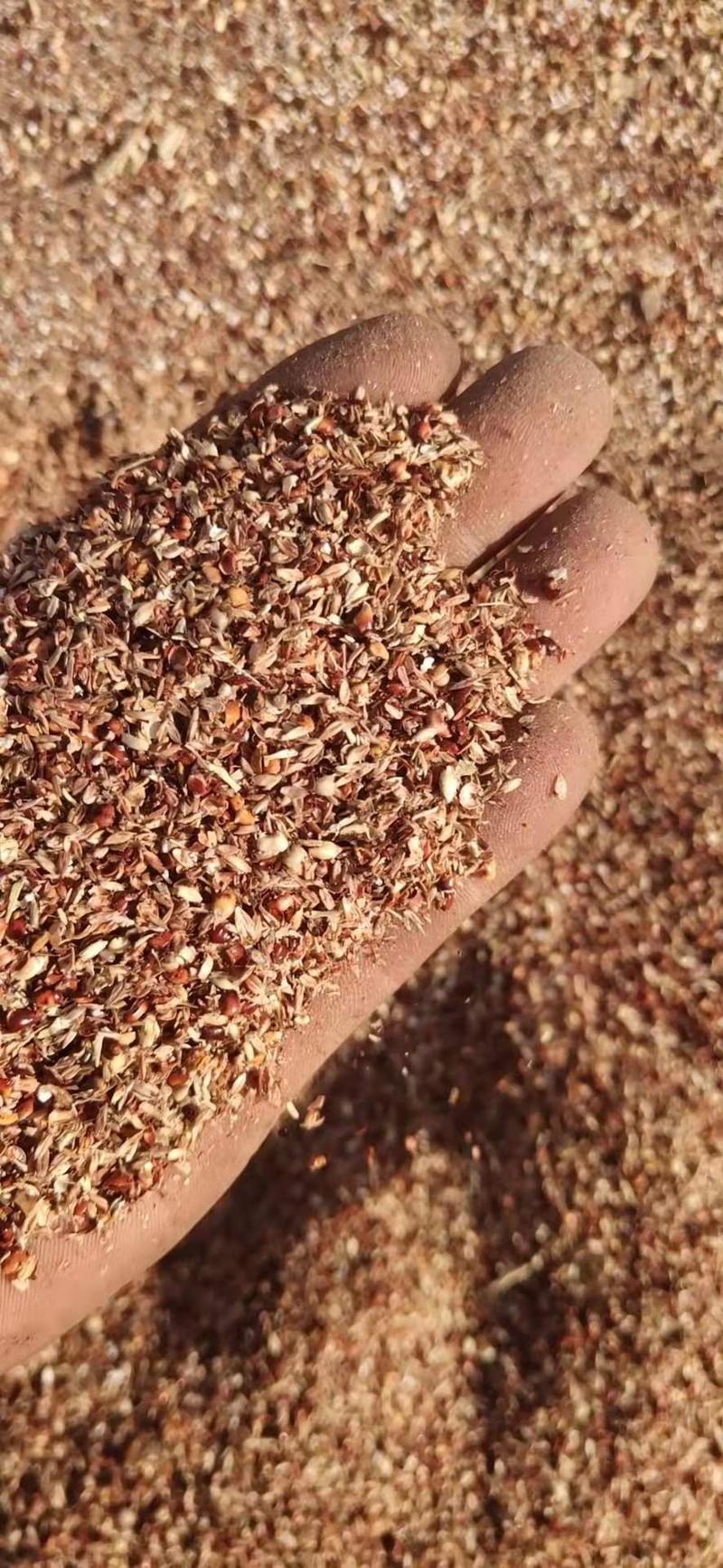 高粱糠，内蒙古自治区赤峰市宁城县，量大促优，可以视频看货