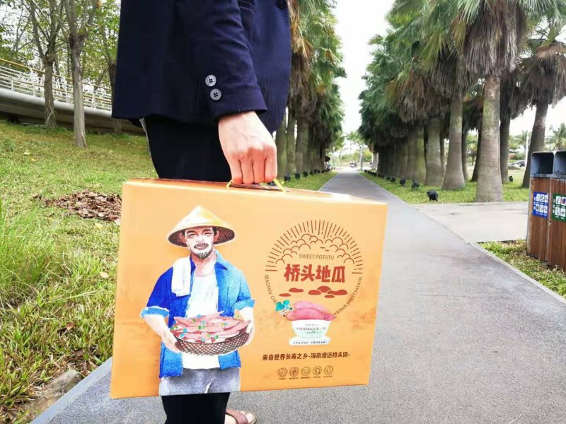 海南富硒桥头地瓜，精品地瓜，板栗红薯