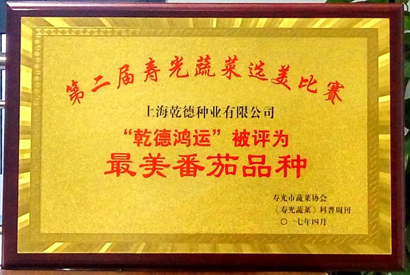 乾德鸿运抗TY中早熟粉果番茄西红柿种子早春秋延越冬栽培