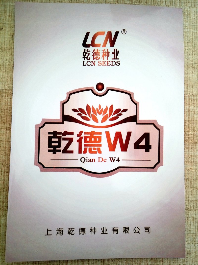 乾德W4早熟，抗TY，粉果大果番茄种子，春秋茬栽培
