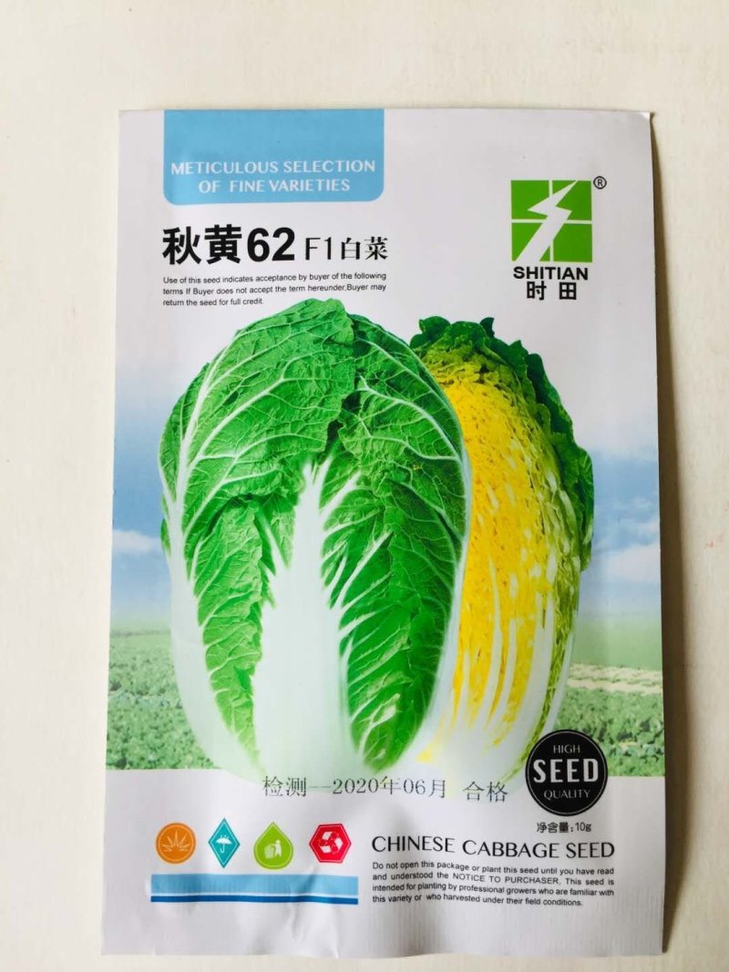 白菜种子，夏季耐热品种夏美，春满园品种