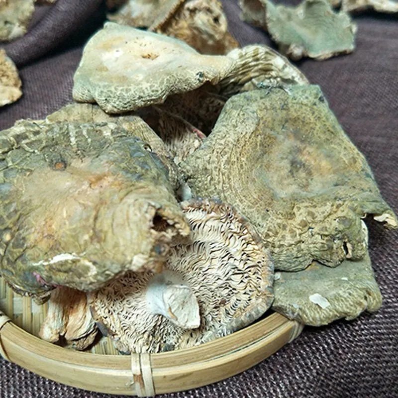 湖北深山野生青头菌干货【特价】包邮手工挑选过筛一件代发