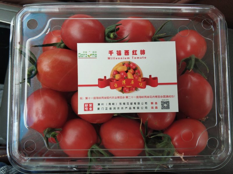 千禧小番茄