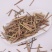 香茅草包邮产地直销量大从优